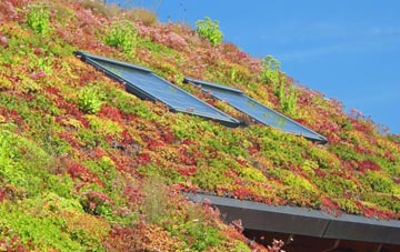 Burstwick living roof systems