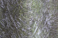 Burstwick fibreglass roof work